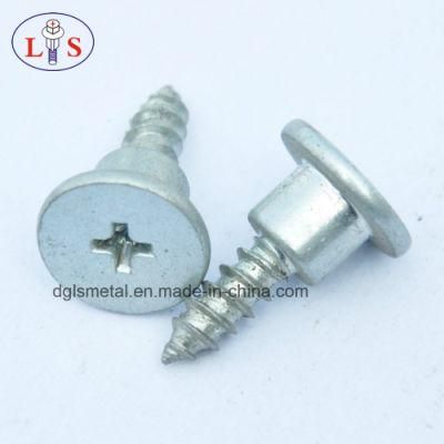 Cross Recess Step Screw with High Quality