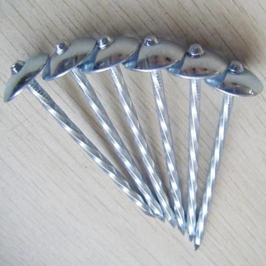 High Quality Galvanized Umbrella Head Roofing Nails China Supply for Building Decoration Renovation