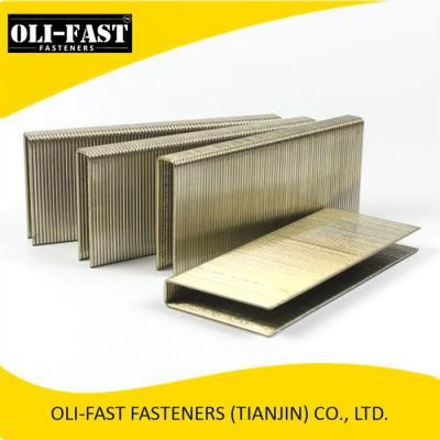 Bea 14 Series Staples for 613 Air Stapler