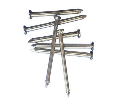 High Quality Concrete Nail for Construction China