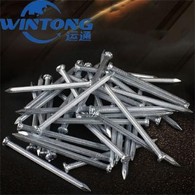 Good Quanlity Wooden Nail/Roofing Nail/Concrete Nail for Construction