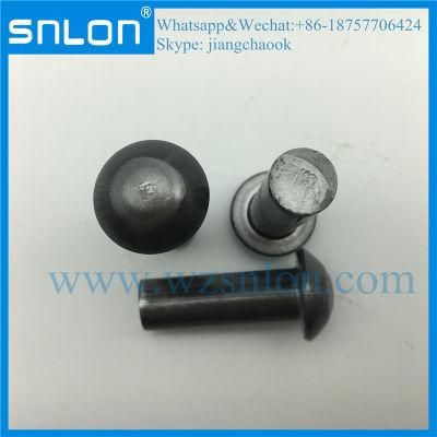 Round Head Rivet Blind Rivet