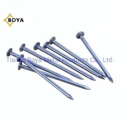 Polished Common Steel Iron Nail for Mayalisa Market