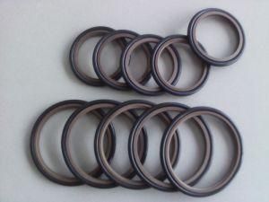 Rubber Ring Delicate Polytetrafluoroethylene Sitefeng Oil Seal