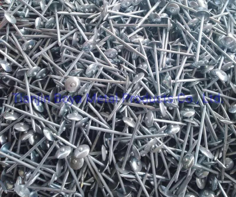 Bright Electro Galvanized Hot Dipped Umbrella Roofing Nail with Neoprene Washer