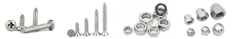 M8 M20 Stainless Steel Hex Bolt and Nut