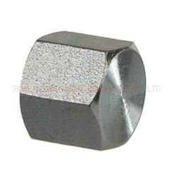 5406c Nptf Pipe Fitting Ss Cap Hardware