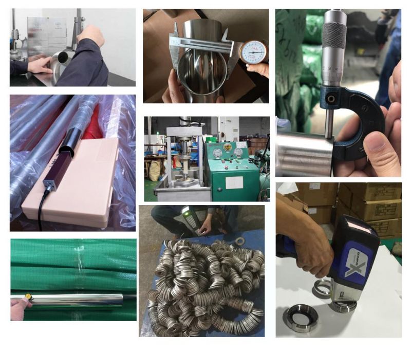 Sanitary Grade Stainless Steel Quick Loading Transparent Silicone Hose
