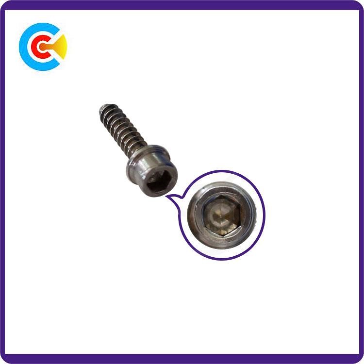 DIN/ANSI/BS/JIS Carbon-Steel/Stainless-Steel 4.8/8.8/10.9 Galvanized Hexagon Socket with Internal Tapping Screw