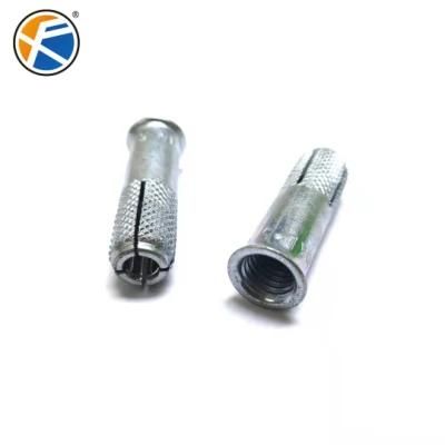 Chinese Factory Drop in Anchor Expansion Bolt with Knurling