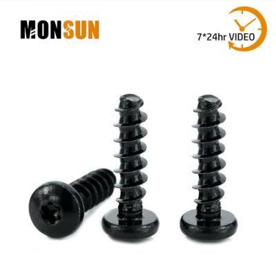 Harden Steel Black Star Drive Self Tapping Screws/Tornillos for Plastic