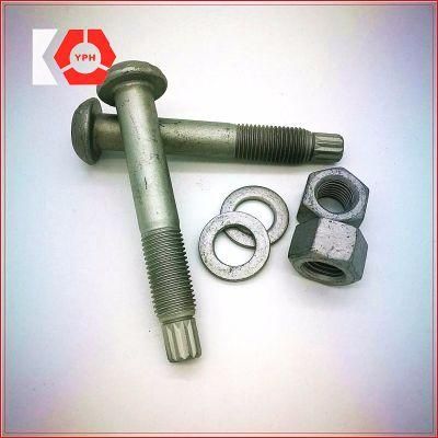 Round Bolt DIN933 Hex Nuts DIN931 HDG