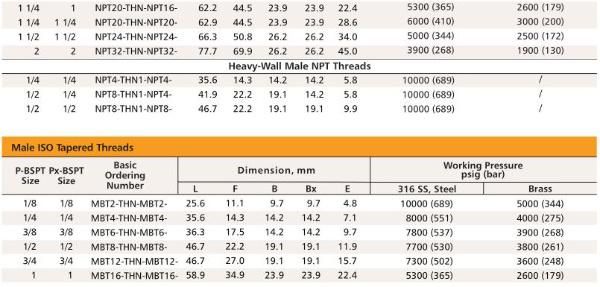 Chinese Factory NPT ISO Threads Instrument Pipe Fittings Stainless Steel Hex Nipples