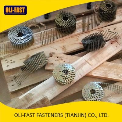 15 Degree Wire Collated Coil Nail for Pallet and Construction