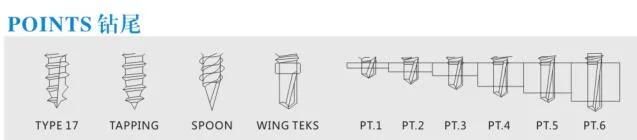Wing Tek Self Drilling Screw