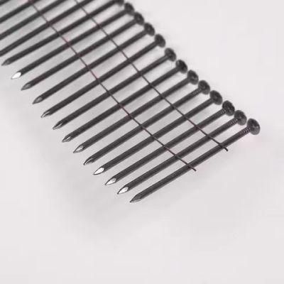 Cheap Price Coil Nail /Screw Pallet Nail Factory Directly Sale