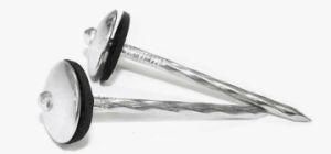 Roofing Nails with Rubber Washer, Galvanized Roofing Nail