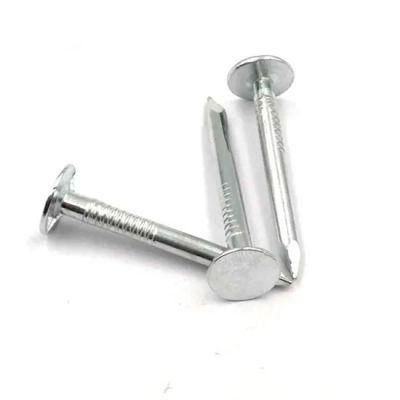 Hot DIP Galvanized Clout Nails /Hight Quality for Us Market