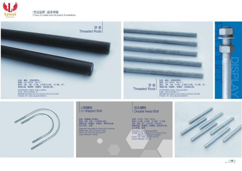 Wedge Anchor Bolt Expansion Bolt Sleeve Anchor Bolt Steel Anchor Bolt Foundation Bolt Foundation Anchor Bolt Self Drilling Anchor Bolt Anchor Eye Bolt Concrete