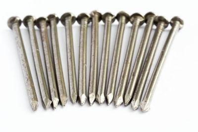 Direct Factory Best Quality Black Concrete Nails Galvanized Concrete Nails