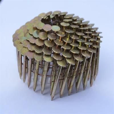 Professional Design Pallet Coil Nail for Wood