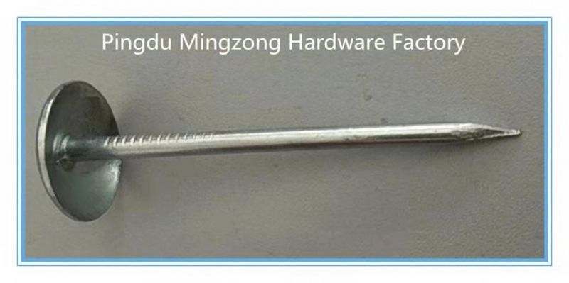 2.5"*Bwg9 Galvanized Roofing Nails for South Africa Eg Nails