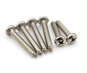 High Quality Stainless Steel DIN7981 Cross Recessed Pan Head Self Tapping Screw