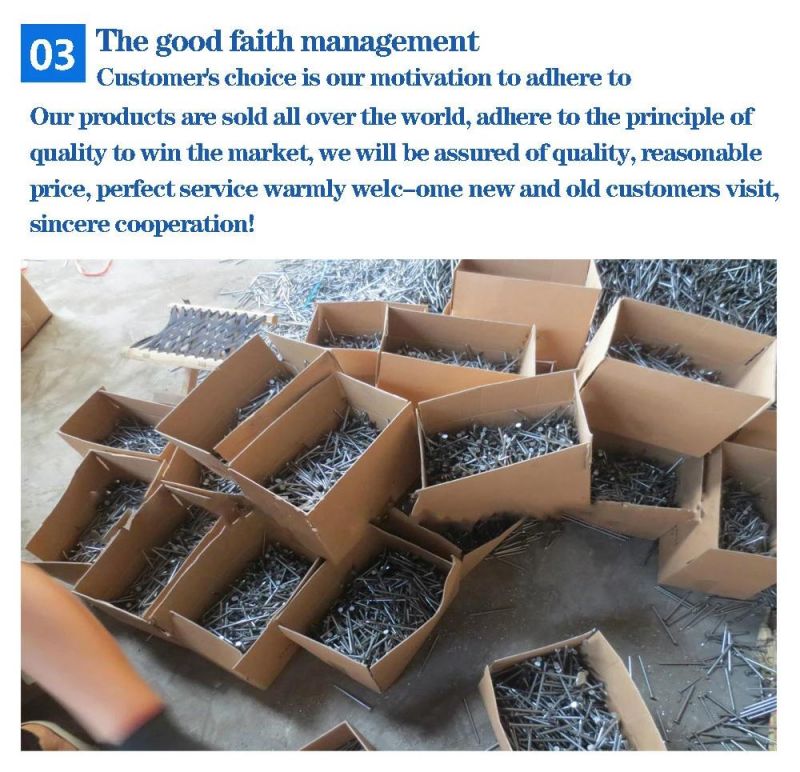 Construction Nails/Straight Pole Roofing Nails
