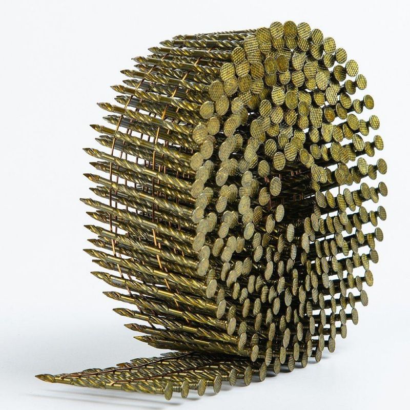 Coil Nails for Wooden Pallets From China Factory
