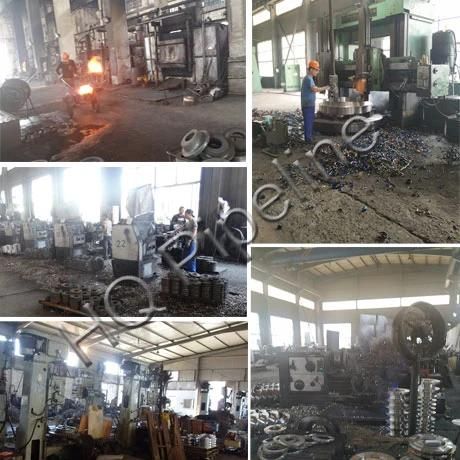 Forged Weld Neck Carbon Steel Stainless Steel Pipe Steel Flange