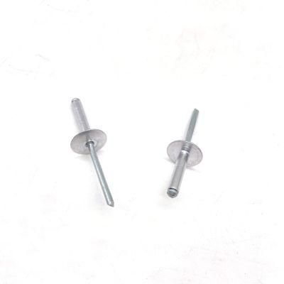 Stainless Steel 304 316 Aluminum Dome Head Flat Head SS304 SS316 Solid Blind Rivet Nut