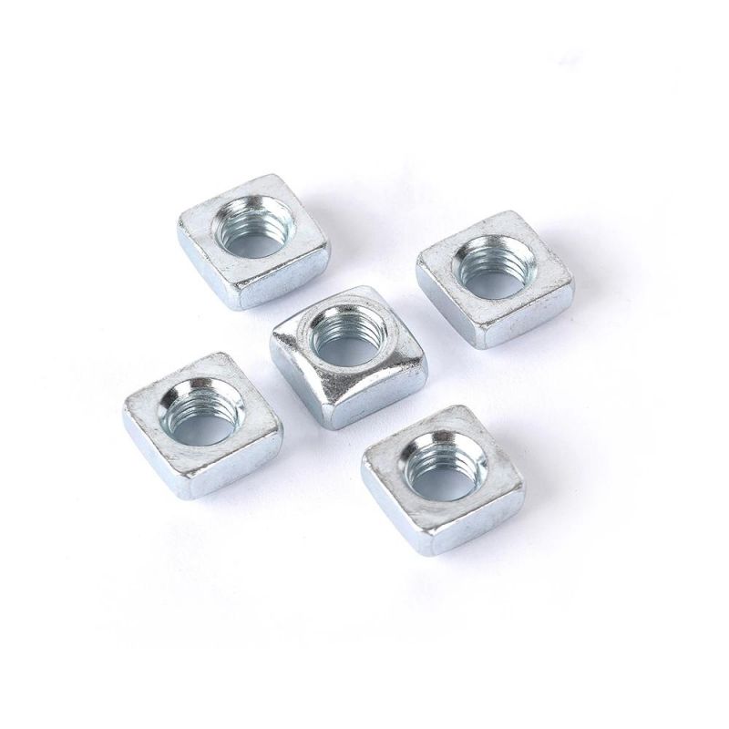 Stainless Steel SS304/316 Square Nut/Hex Nut/Flange Nut/Heavy Hex Nut/Hex Cap Nut/Round Nut/Slotted Nut/Lock Nut