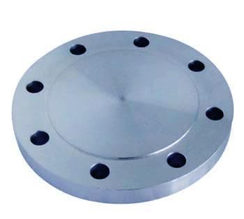 ANSI B16.5 Class 300 317 Forged Stainless Blind Flanges