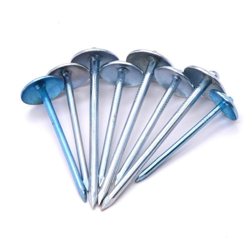 South Africa Namibia Market/Galvanized Umbrella Head Roofing Nails Weight Umbrella Type Nail Umbrella Roofing Nails