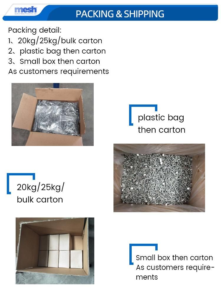 Professional Factory Galvanized Roofing Felt Clout Nail for Construction