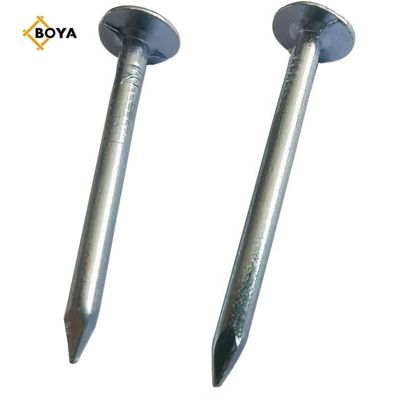 High Quality Hot Dipped Galvanized Clout Nail