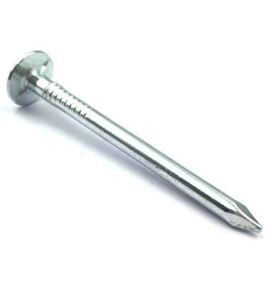 Electrol Galvanized Clout Nails for Roofing /Hight Quality