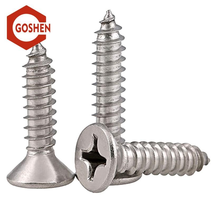 Stainless Steel 304 Self-Tapping Screws with Cross Recess Drive