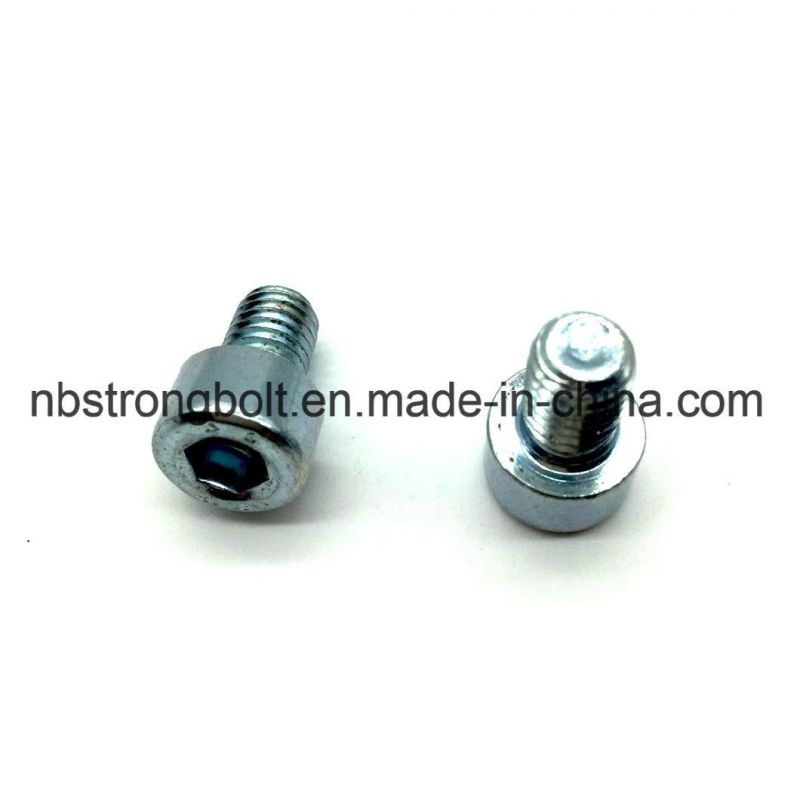 DIN912-8.8 Hex Socket Bolt with Zp/Fastener