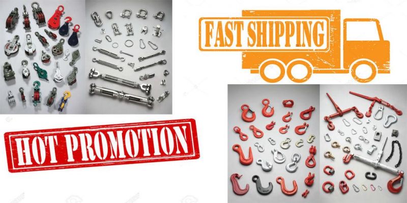 G80 Lifting Screw Point
