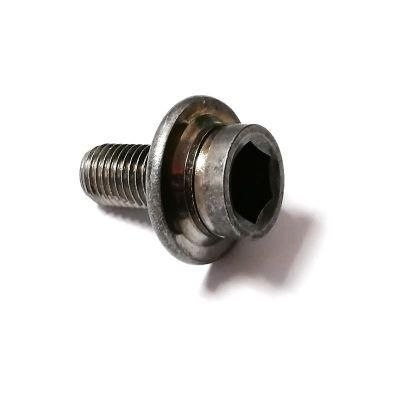 Special Stainless Steel 304 Flange Cap Head Socket Head Screws