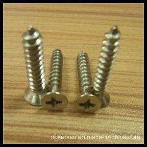 Stainless Steel Screw