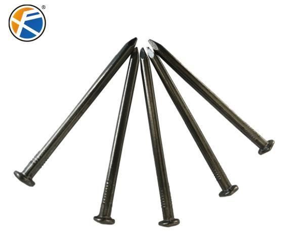 Iron Common Wire Nails for South Ameirca Market