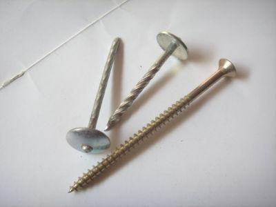 High Quality Galvanized Twisted Shank Umbrella Roofing Nails with China Factory