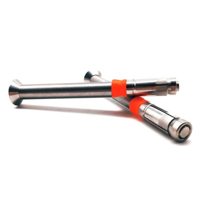 Stainless Steel 304 OEM Custom High Quality Dyna Anchor Bolt