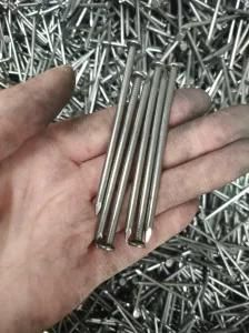 Hardware Nail Common Iron Wire Nail