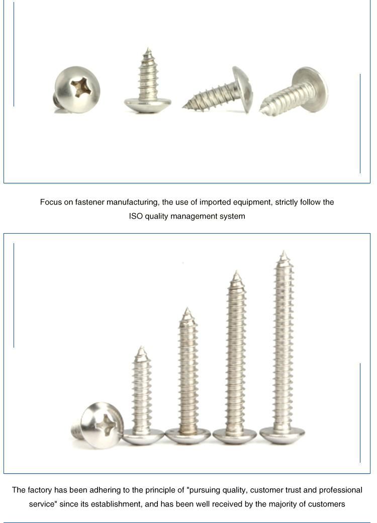 Wholesale Manufcturer C1022 /Ss Zinc Plated Self-Drilling Screw with Pan Head