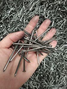 Q195 Common Metal Nail for Construction Bag Packing