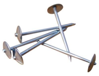 Umbrella Head Roofing Nails with Factory Price