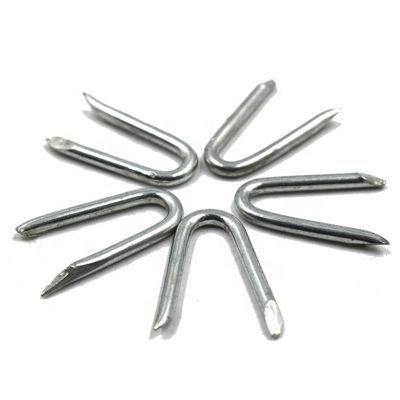 Pin Round Head U Type Fence SOD Staple